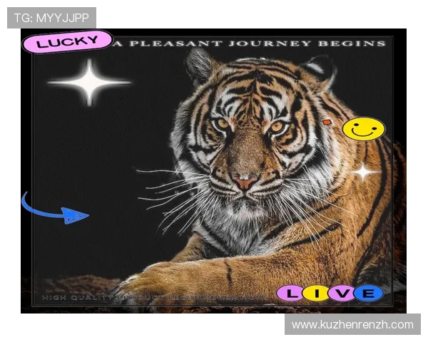 属龙属虎的相处技巧:如何化解冲突促进关系和谐共赢的实用策略